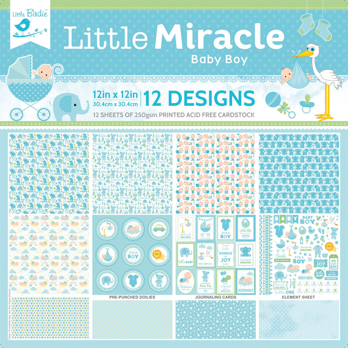 Little Miracle Cardstock Pack 12"X12" 12/Pkg Baby Boy
