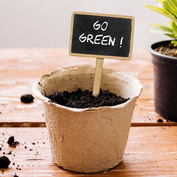 Little Birdie Mini Chalkboard Tabletop Signs, 2 pack