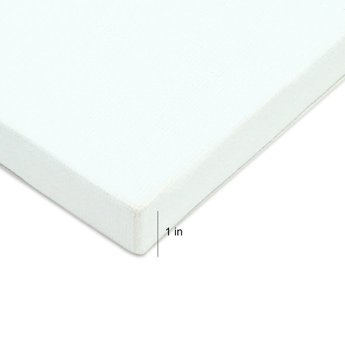 Premium 6"x8" Stretched Cotton Canvas from Little Birdie