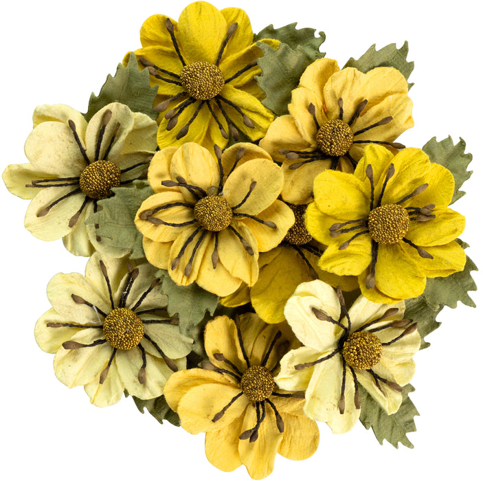 Wendy Paper Flowers from Little Birdie