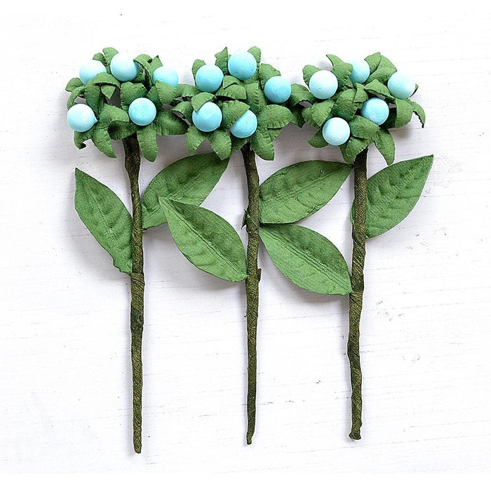 Pack of 3 - Berry Branch 3/Pkg-Song Of The Sea